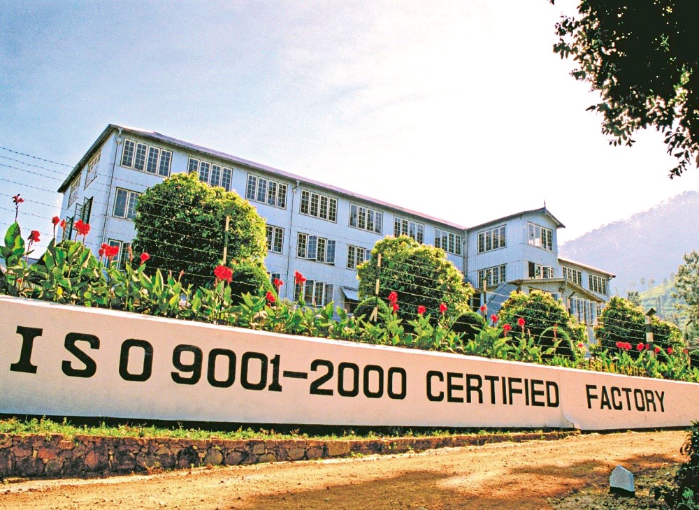 website-image