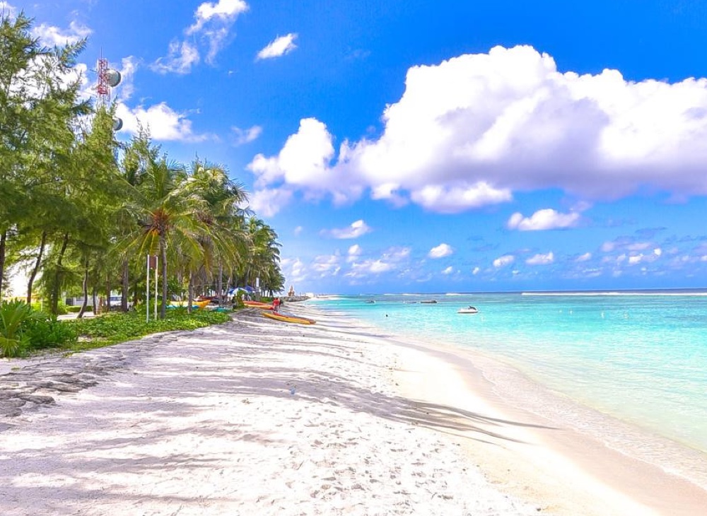 website-image
