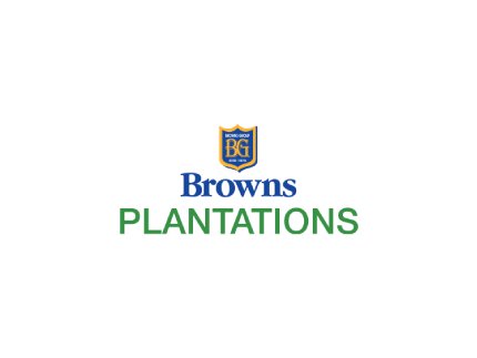 website-image